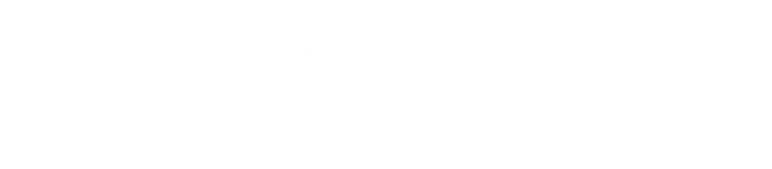 Diversifi Logo