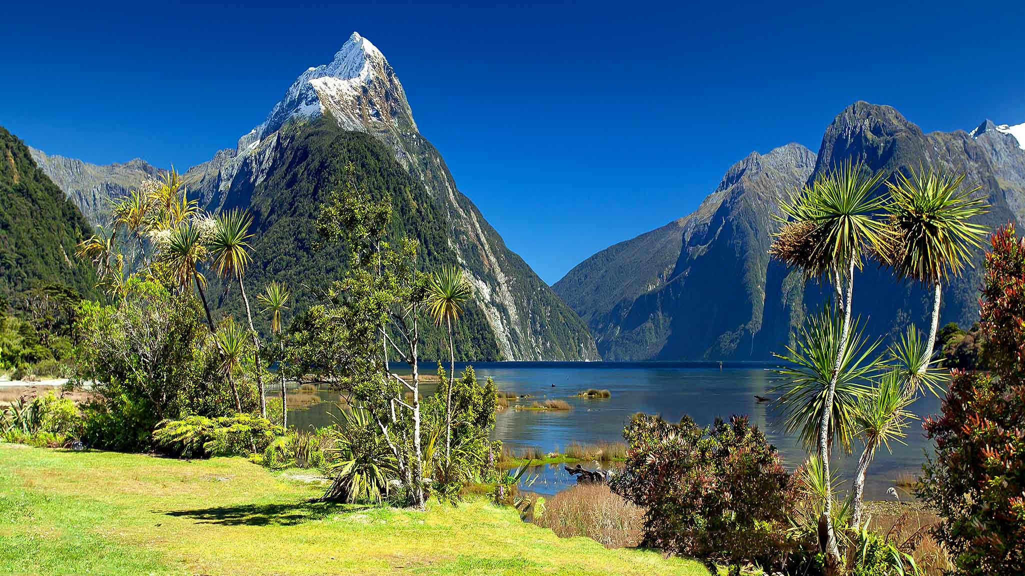 New Zealand and Pacific Islands - Mission to the World
